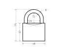АЛЛЮР Замок навес ВС1Ч-350 d8мм 5кл 4607117771166