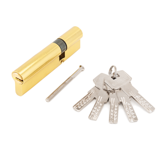 Стандарт  Цилиндр. механизм F-01-100 (30*10*60) GP перфокл кл/кл 4660041983876